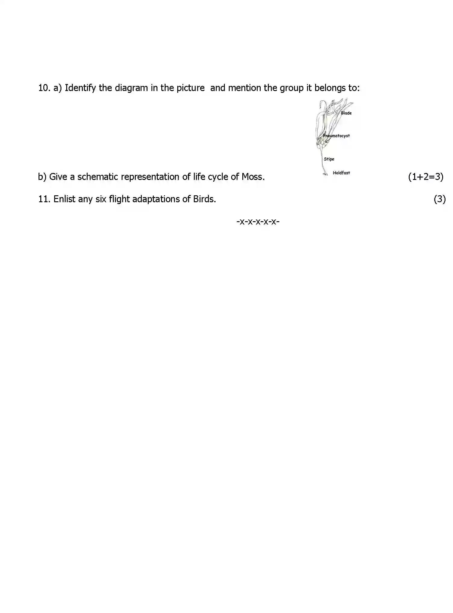 CBSE-Class-11-Previous-Year-Question-Papers-UT2-BIOLOGY-Page-2 Image