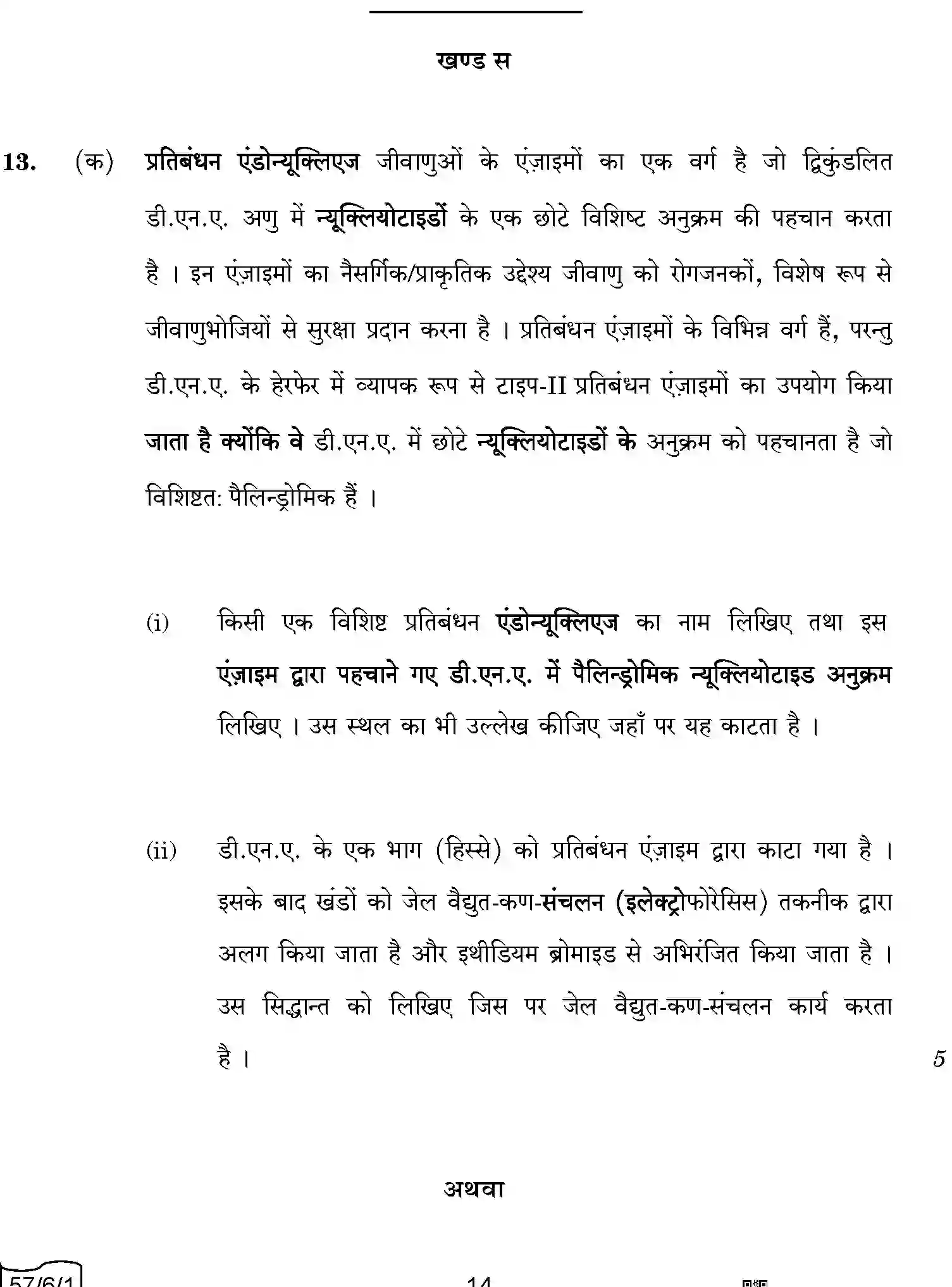 CBSE-Class-12-Previous-Year-Question-Papers-BIOLOGY-A6BAB-C-SET-1-COMP-Page-14 Image