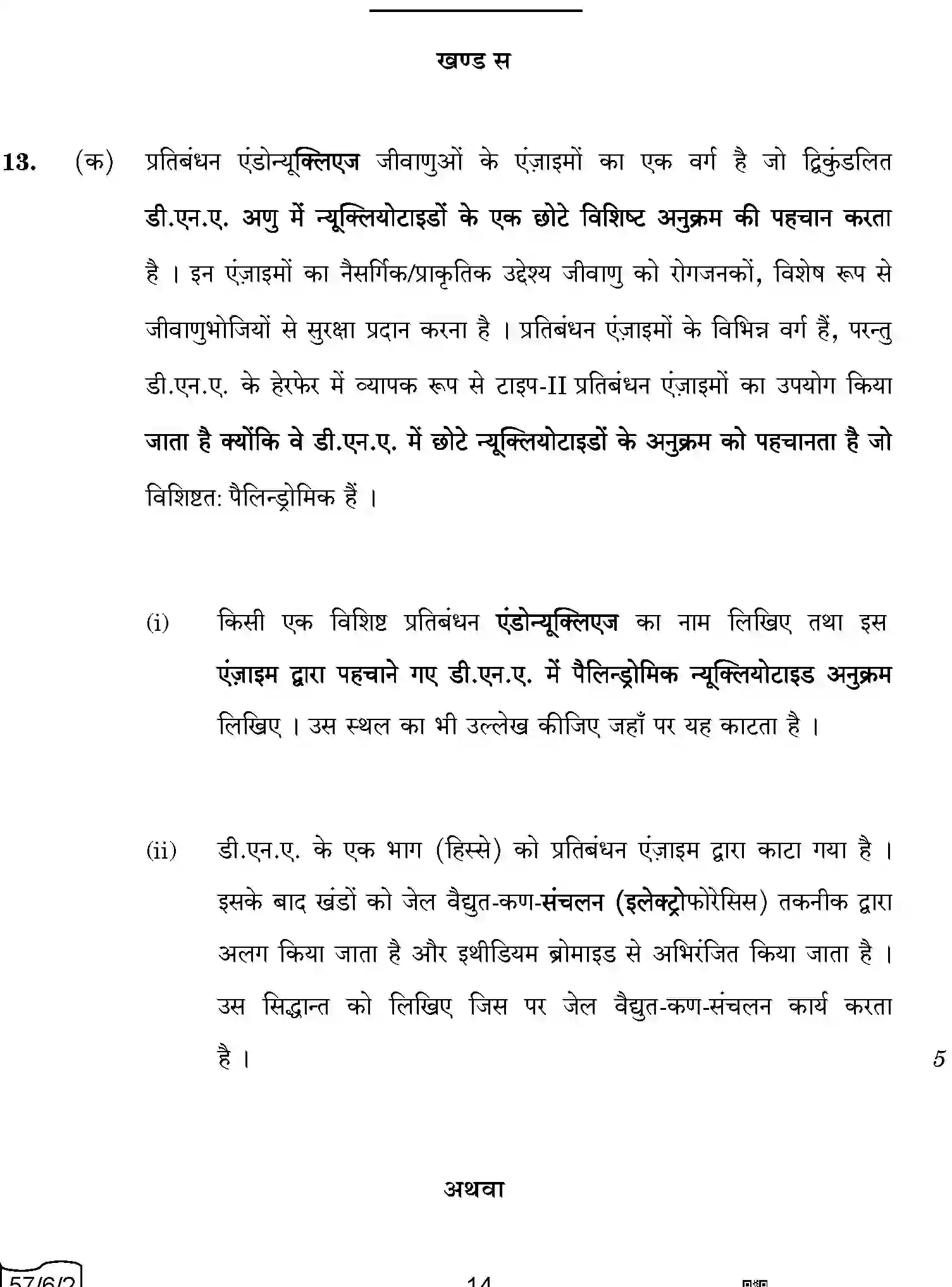 CBSE-Class-12-Previous-Year-Question-Papers-BIOLOGY-A6BAB-C-SET-2-COMP-Page-14 Image