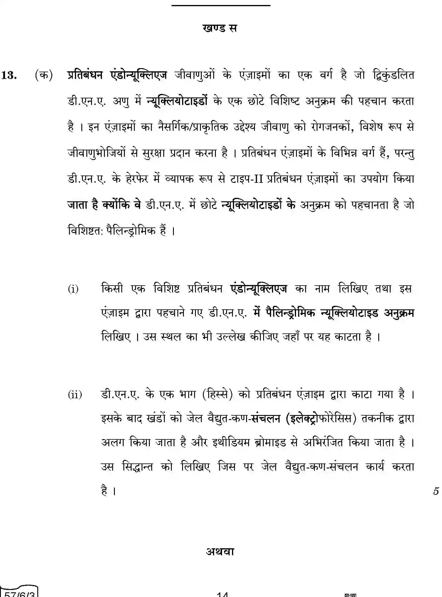 CBSE-Class-12-Previous-Year-Question-Papers-BIOLOGY-A6BAB-C-SET-3-COMP-Page-14 Image