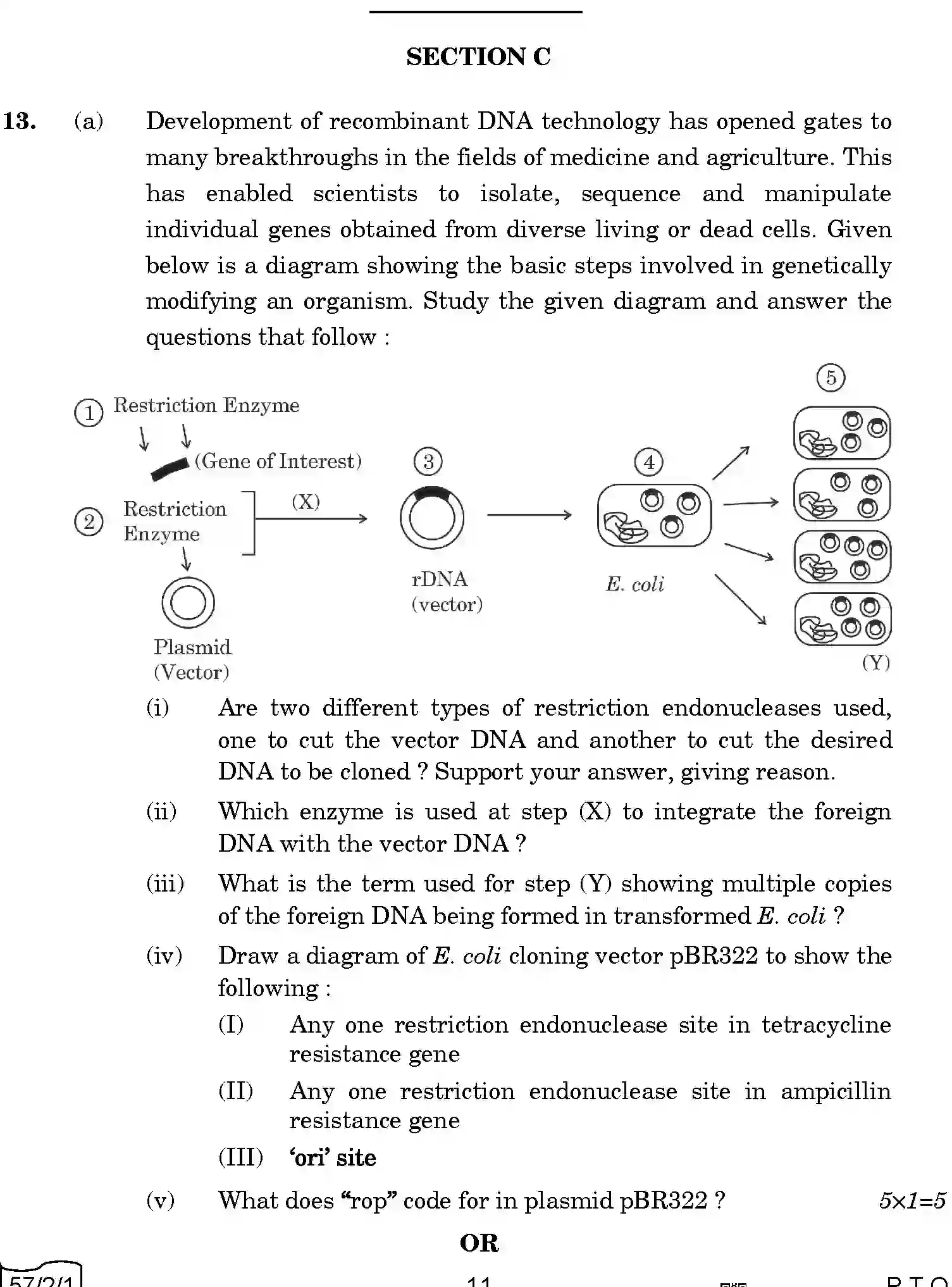 CBSE-Class-12-Previous-Year-Question-Papers-BIOLOGY-AABB1-2-SET-1-Page-11 Image