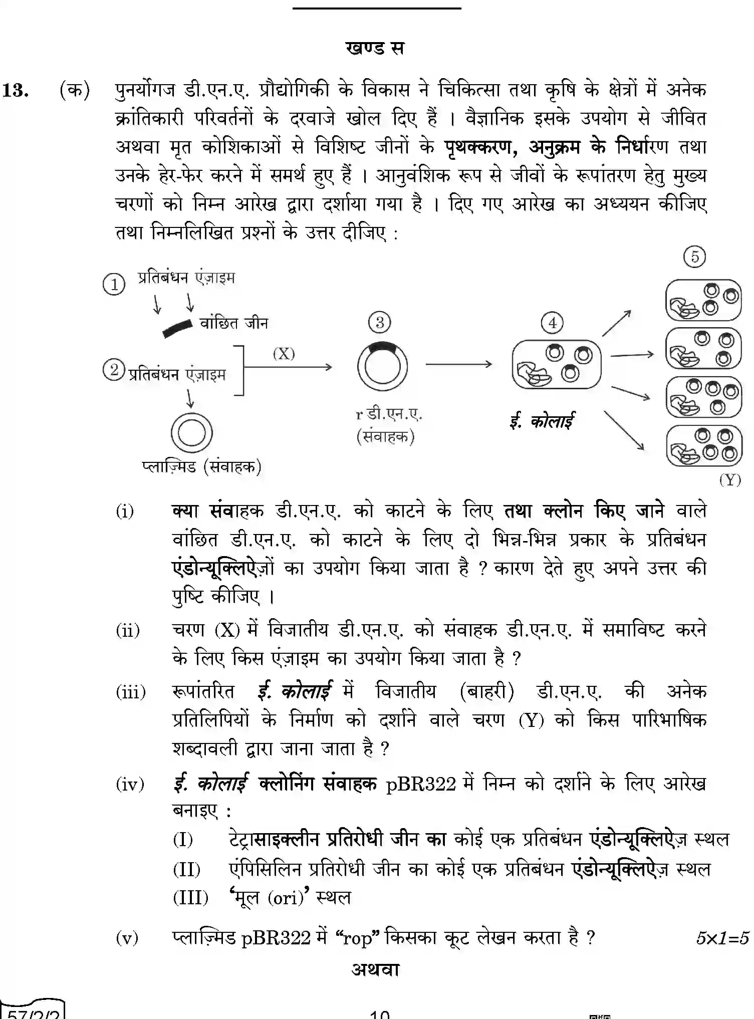 CBSE-Class-12-Previous-Year-Question-Papers-BIOLOGY-AABB1-2-SET-2-Page-10 Image