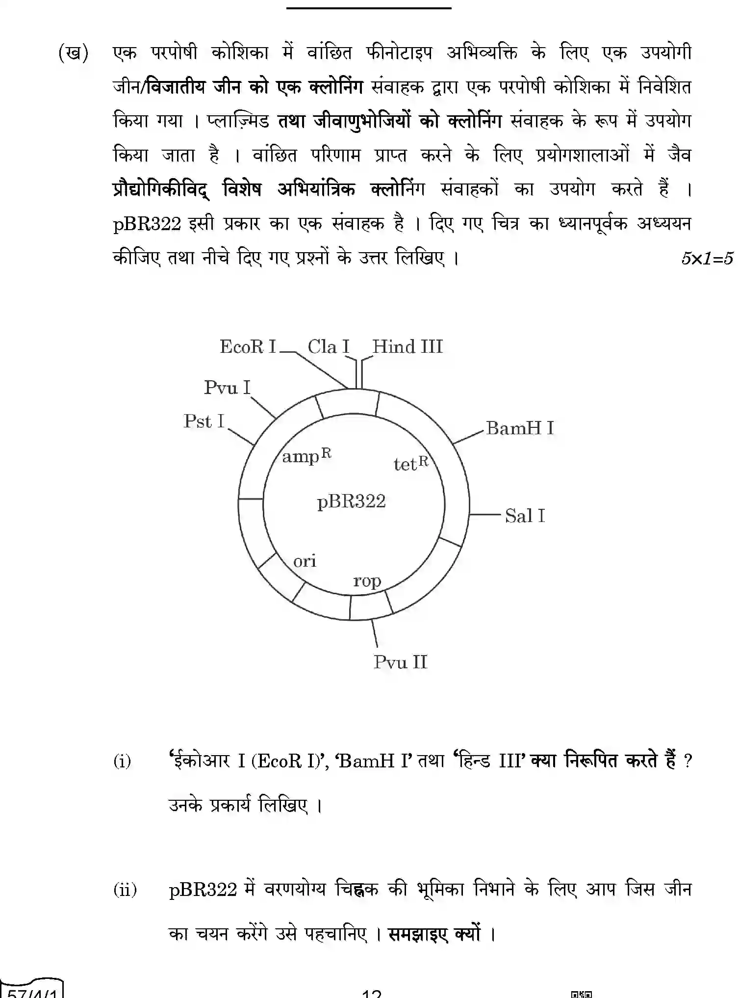 CBSE-Class-12-Previous-Year-Question-Papers-BIOLOGY-AABB2-4-SET-1-Page-12 Image