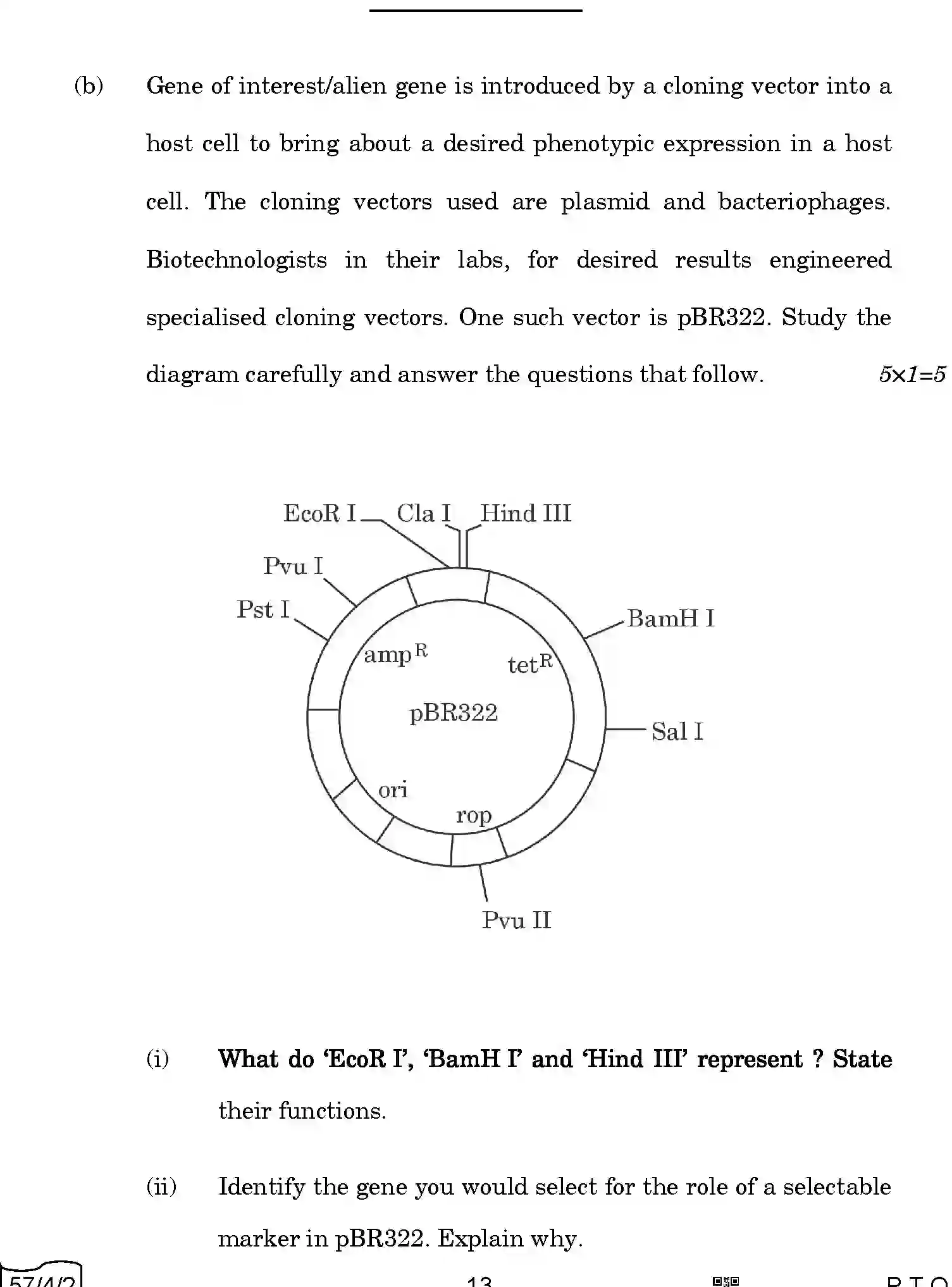 CBSE-Class-12-Previous-Year-Question-Papers-BIOLOGY-AABB2-4-SET-2-Page-13 Image