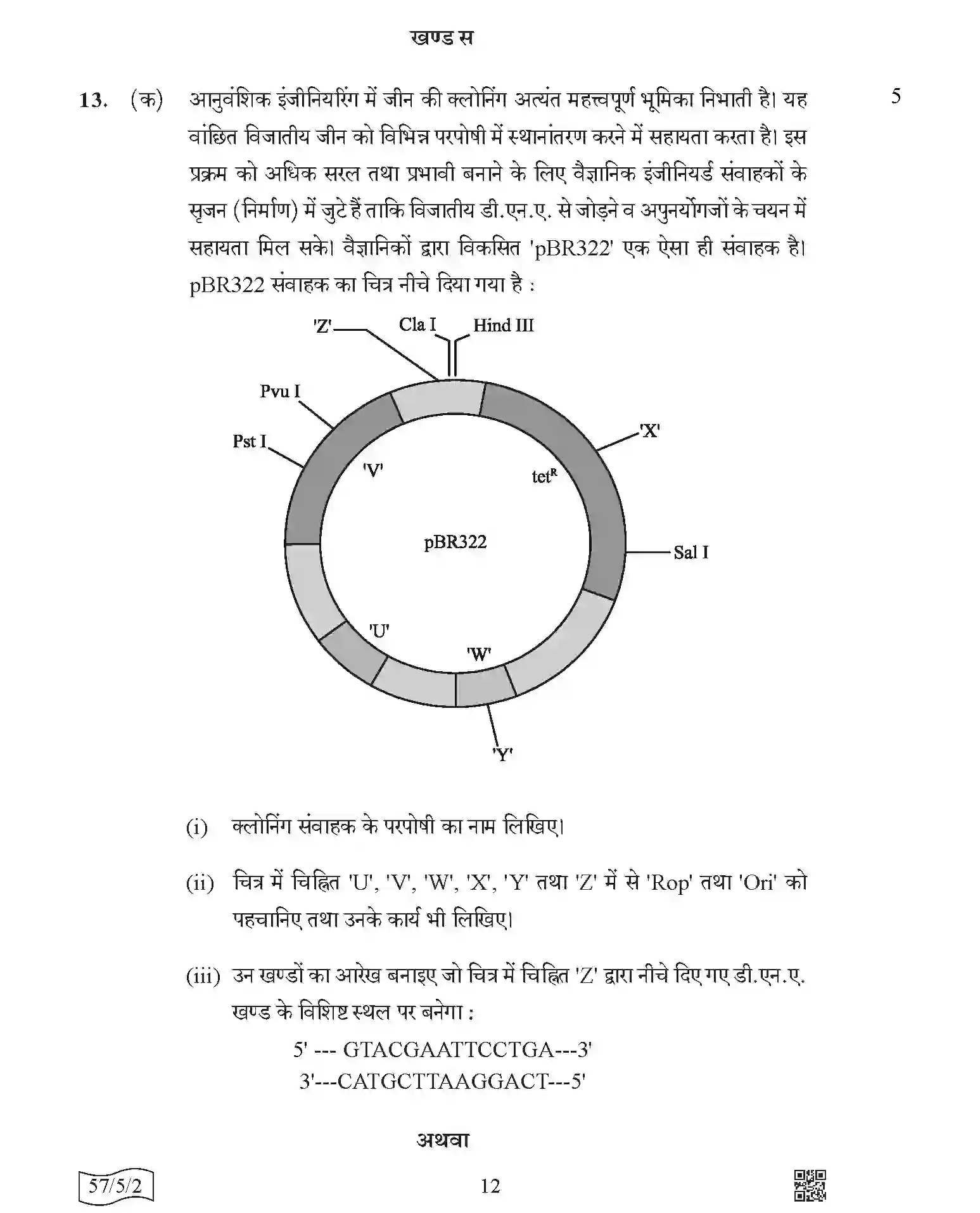CBSE-Class-12-Previous-Year-Question-Papers-BIOLOGY-AABB5-5-SET-2-Page-12 Image