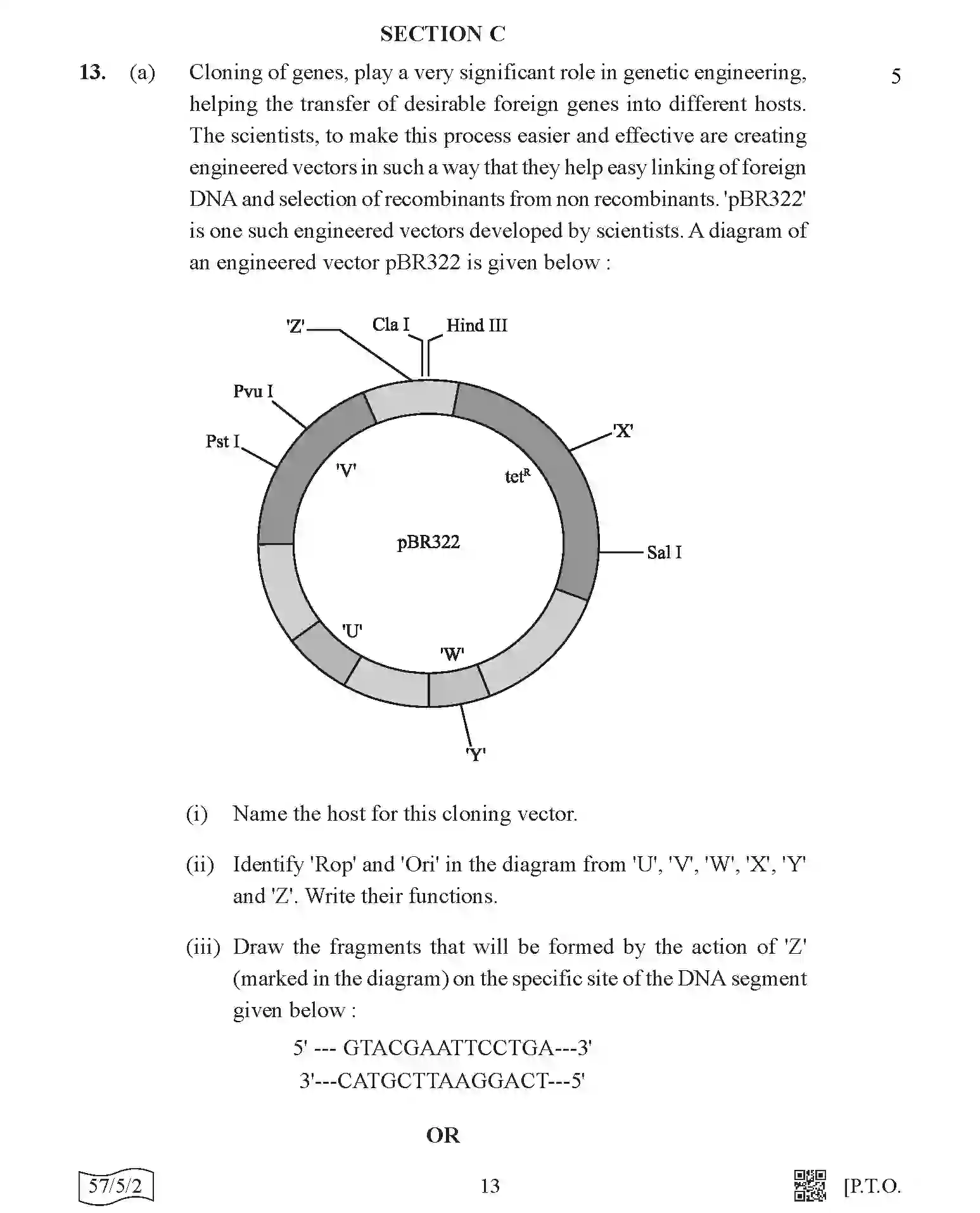 CBSE-Class-12-Previous-Year-Question-Papers-BIOLOGY-AABB5-5-SET-2-Page-13 Image
