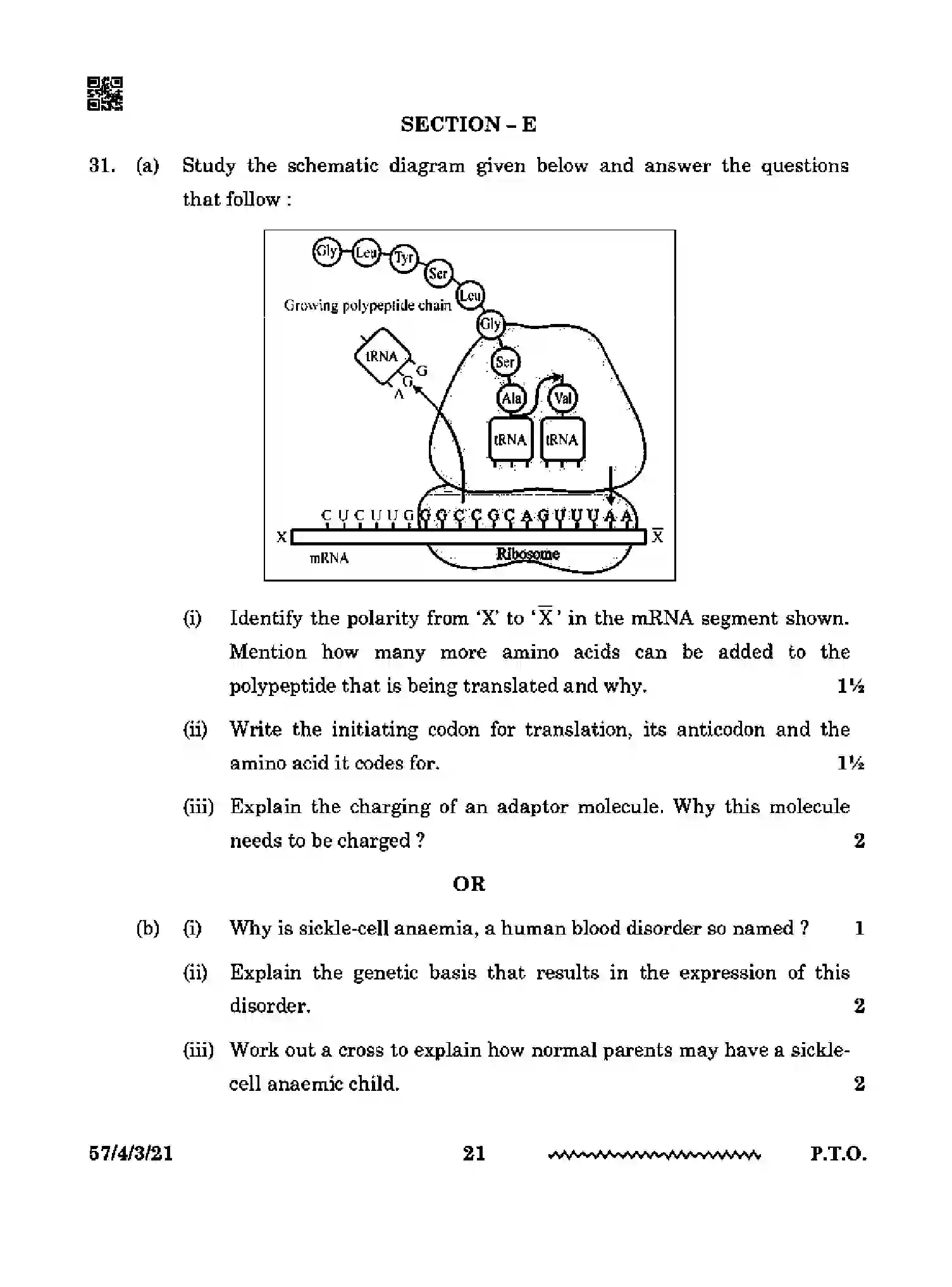 CBSE-Class-12-Previous-Year-Question-Papers-BIOLOGY-PP4QQ-4-SET-3-Page-21 Image