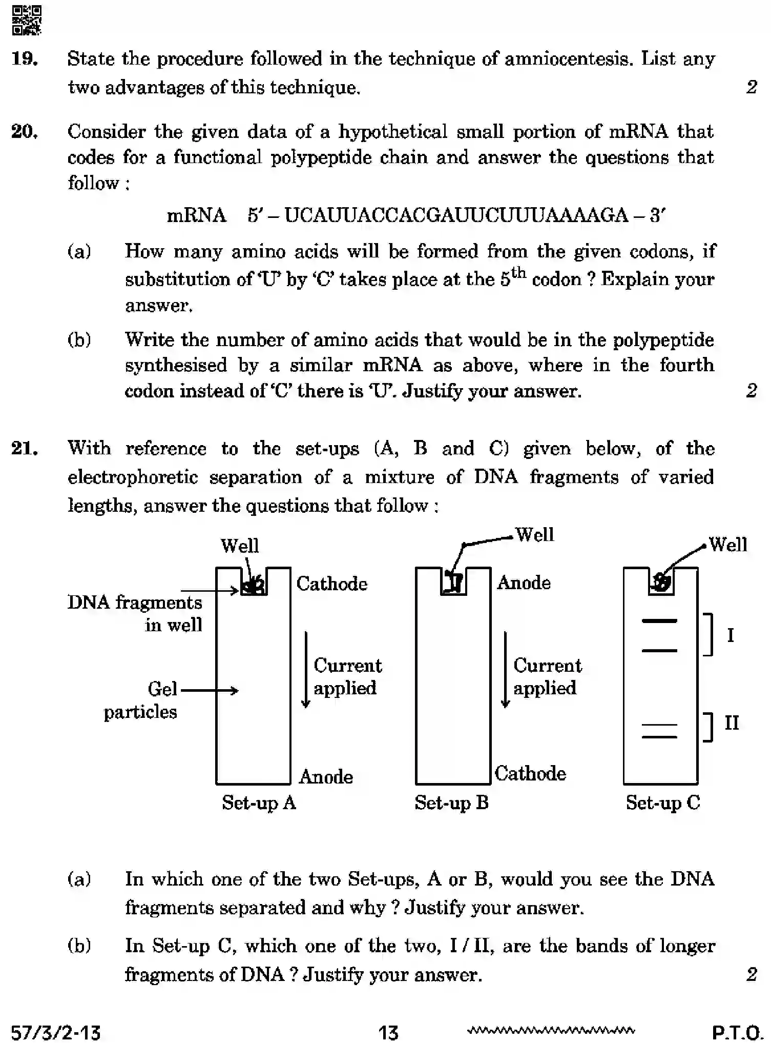 CBSE-Class-12-Previous-Year-Question-Papers-BIOLOGY-SSRR3-3-SET-2-Page-13 Image