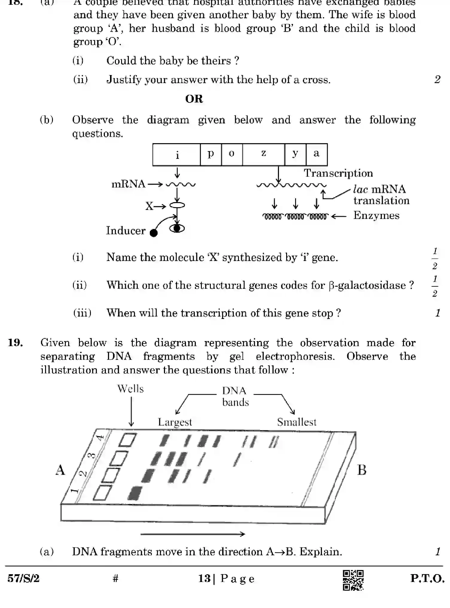 CBSE-Class-12-Previous-Year-Question-Papers-BIOLOGY-WXYZ-S-SET-2-Page-13 Image