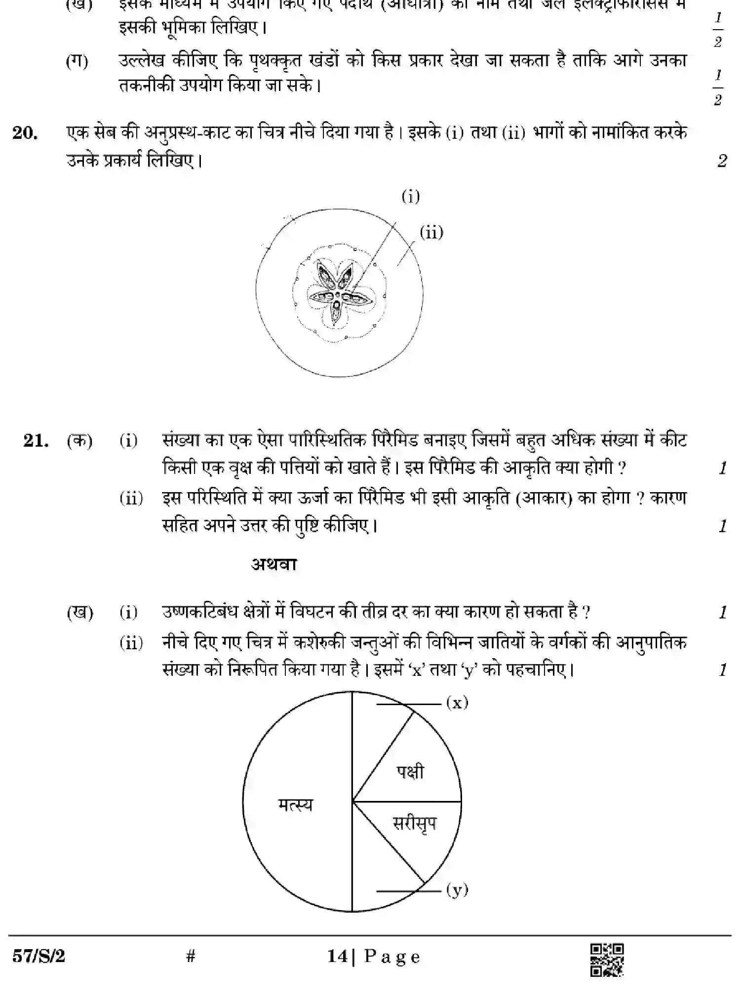 CBSE-Class-12-Previous-Year-Question-Papers-BIOLOGY-WXYZ-S-SET-2-Page-14 Image