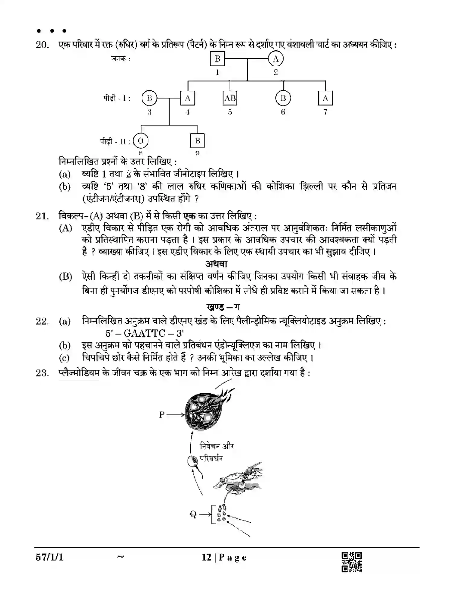 CBSE-Class-12-Previous-Year-Question-Papers-BIOLOGY-XY1ZW-SET-1-Page-12 Image