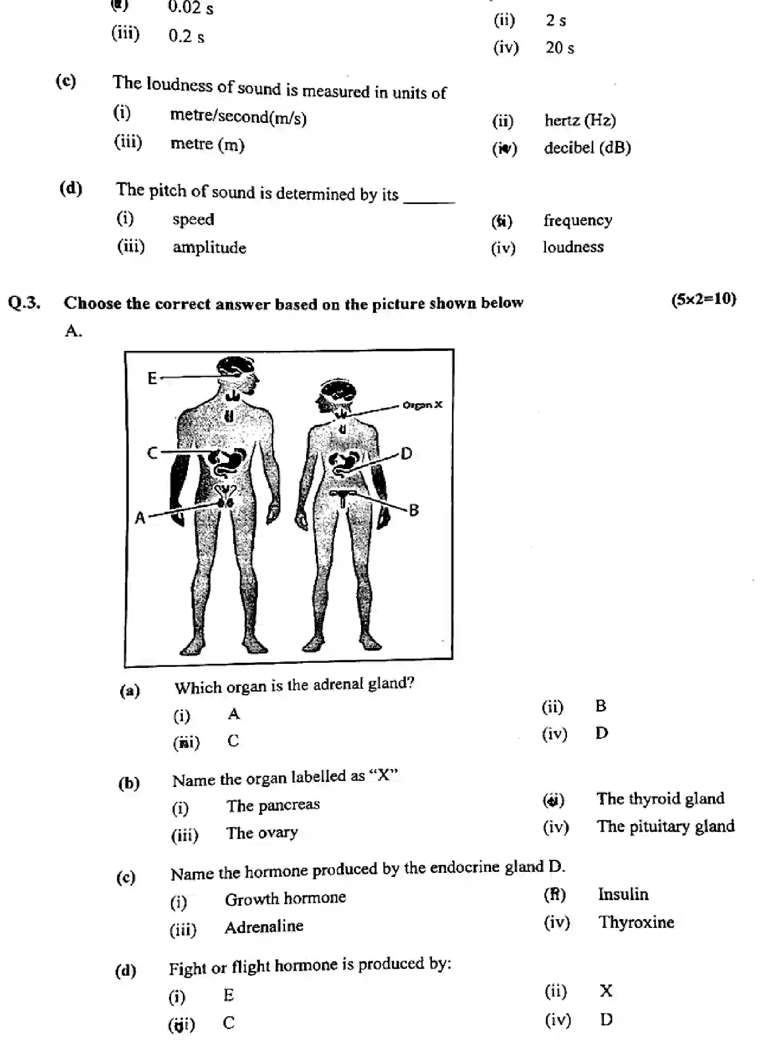 CBSE-Class-8-Previous-Year-Question-Papers-CIENCE-260224-FEB-Page-3 Image