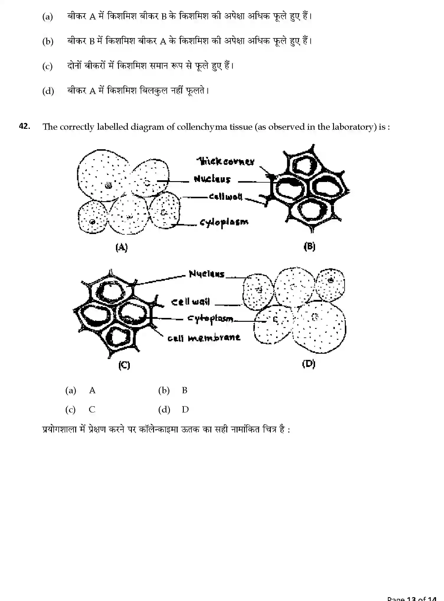 CBSE-Class-9-Previous-Year-Question-Papers-A1-SCIENCE-SET-5-Page-13 Image