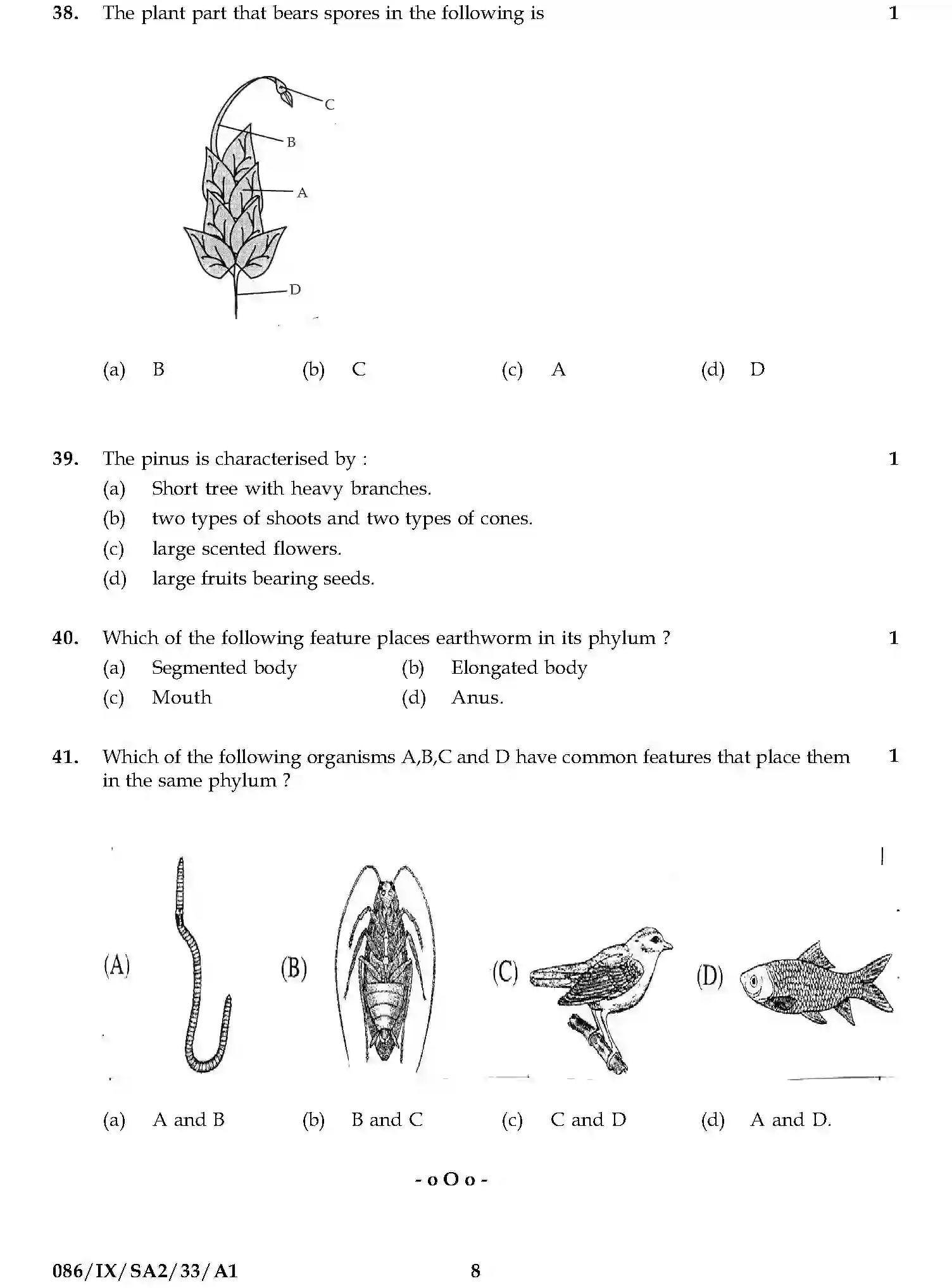 CBSE-Class-9-Previous-Year-Question-Papers-A2-SCIENCE-SET-12-Page-8 Image