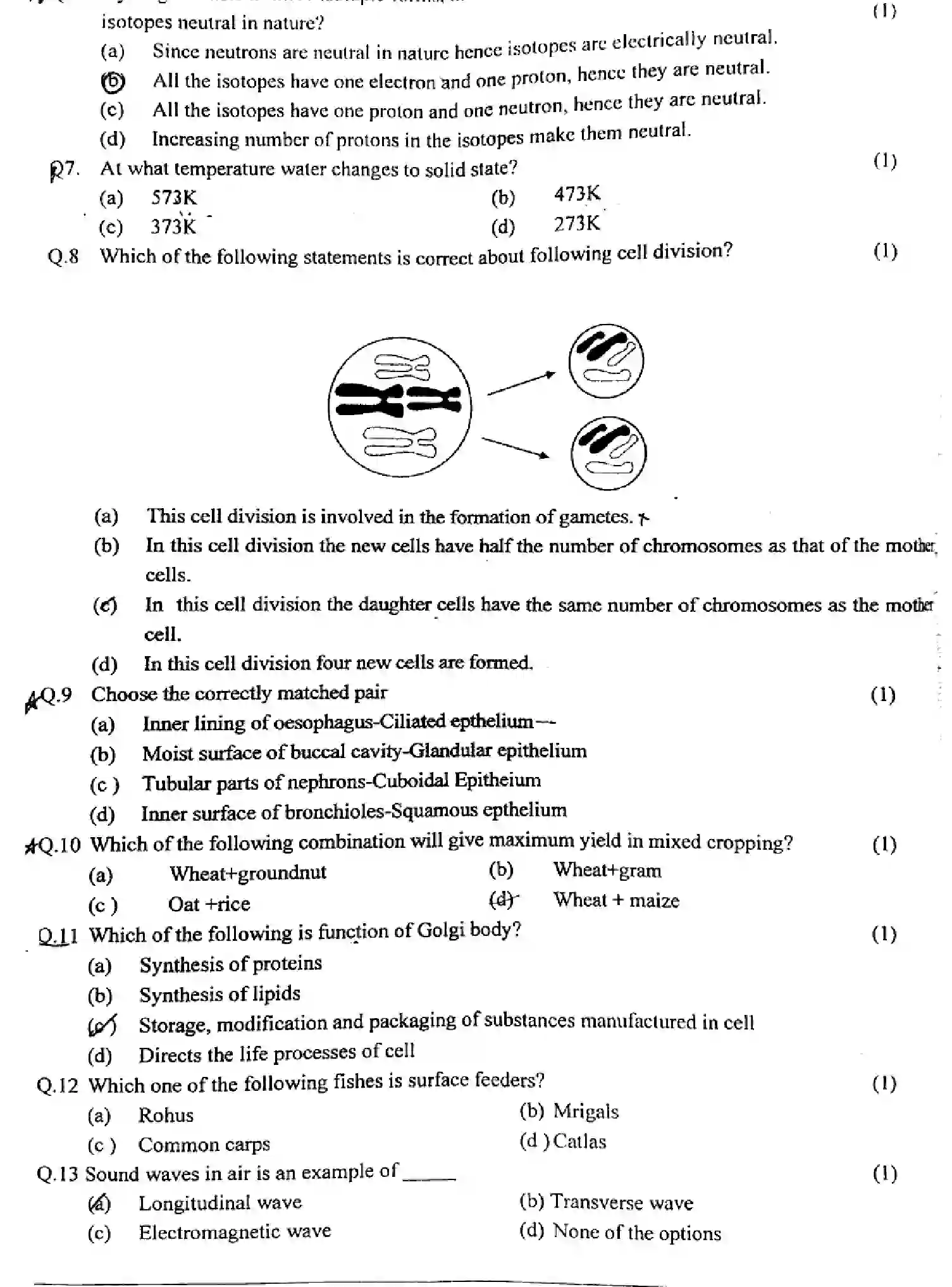 CBSE-Class-9-Previous-Year-Question-Papers-CIENCE-010424-MAR-Page-2 Image