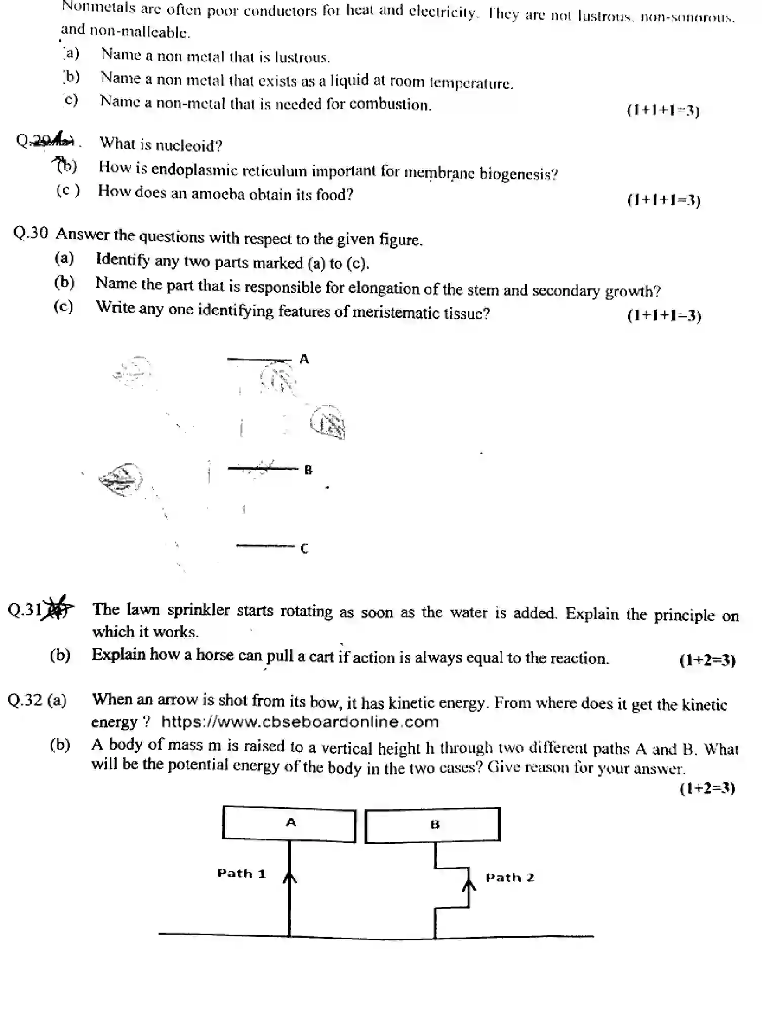 CBSE-Class-9-Previous-Year-Question-Papers-CIENCE-010424-MAR-Page-5 Image