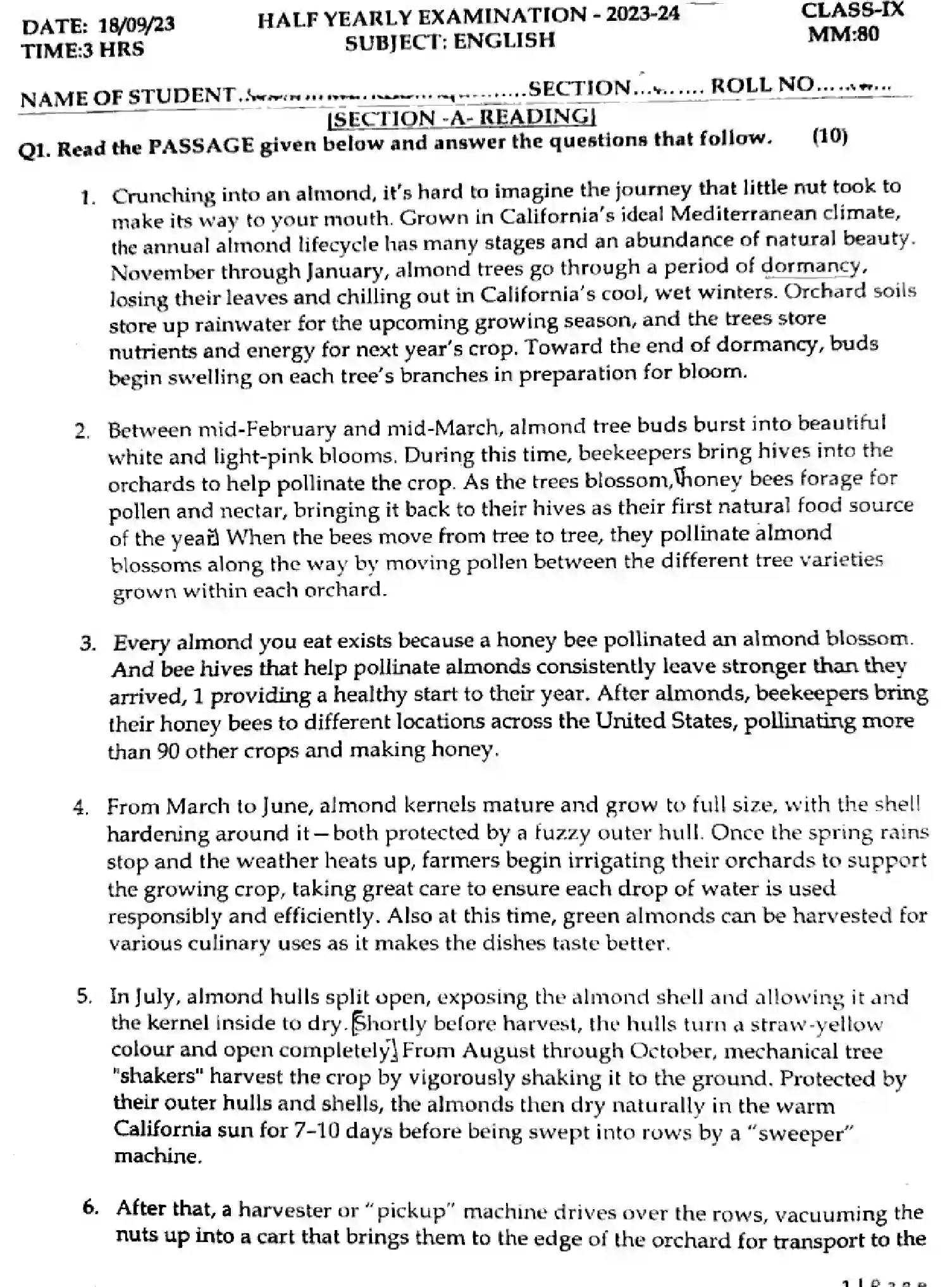 CBSE-Class-9-Previous-Year-Question-Papers-Y-ENGLISH-181223-SEP-Page-1 Image