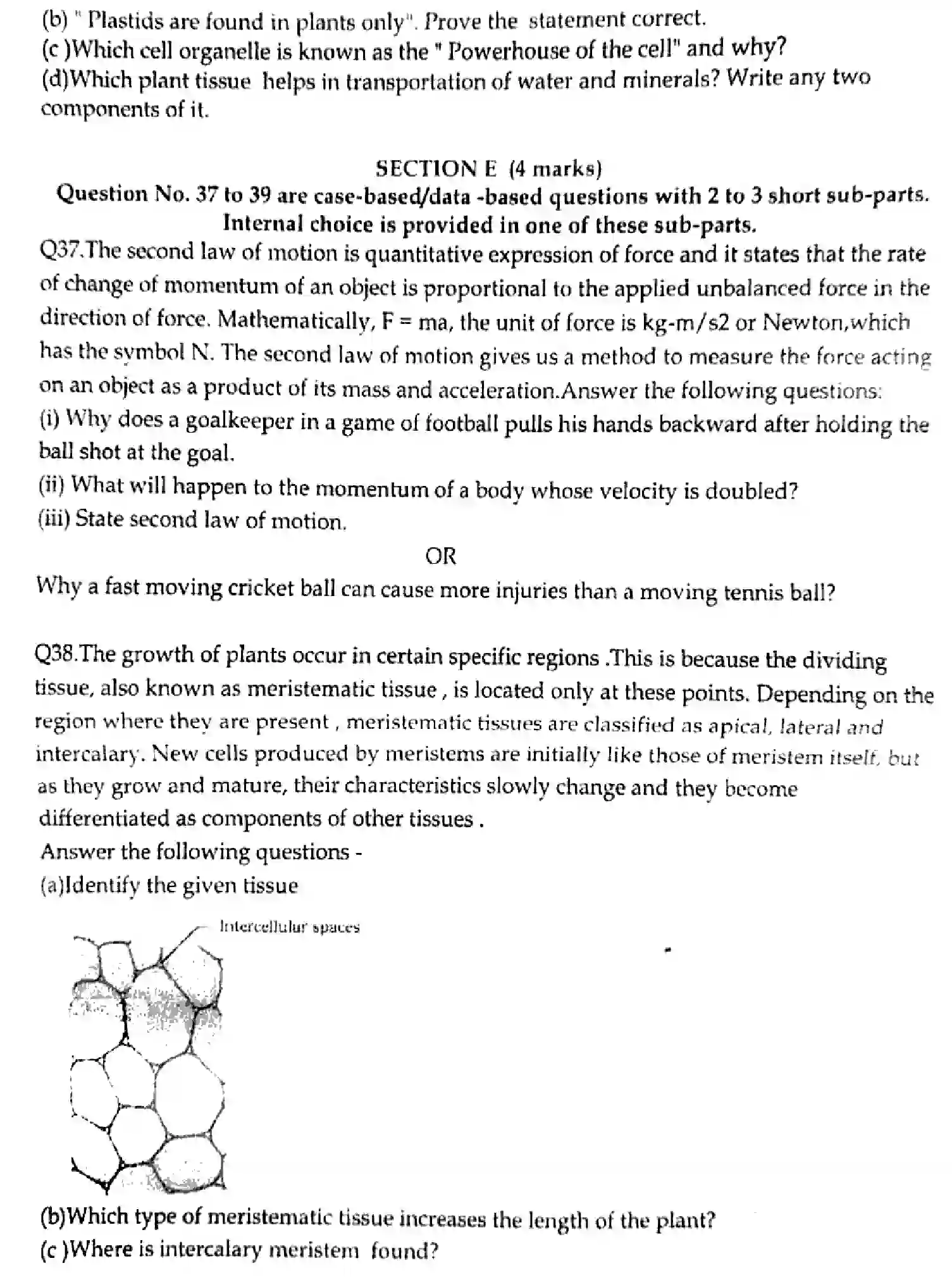 CBSE-Class-9-Previous-Year-Question-Papers-Y-SCIENCE-SET-A-181223-SEP-Page-6 Image
